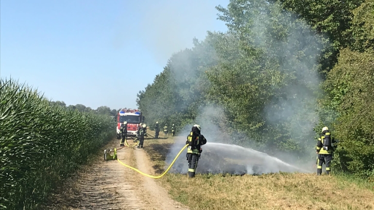 Flächenbrand