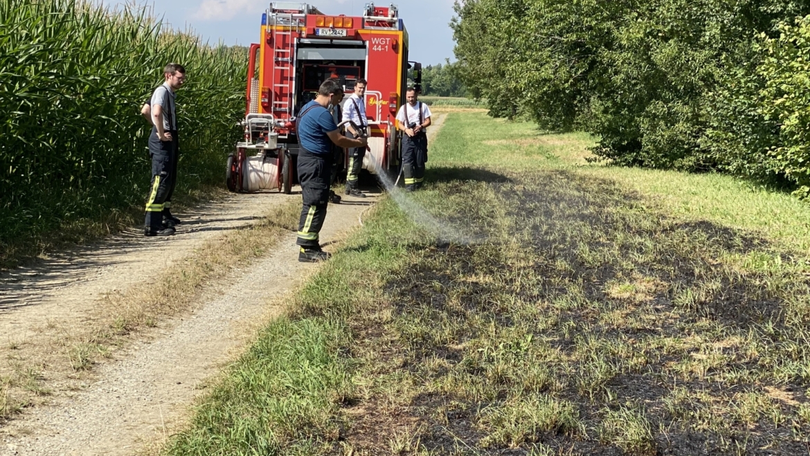 Flächenbrand