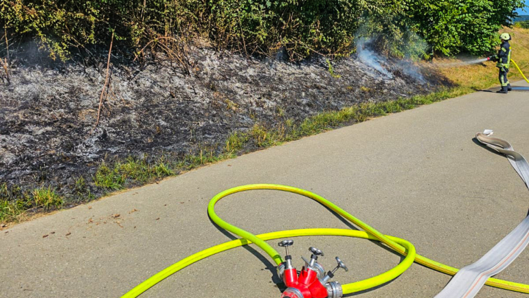 Flächenbrand